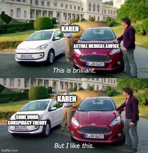 two car choice | KAREN; ACTUAL MEDICAL ADVICE; KAREN; SOME DUMB CONSPIRACY THEORY | image tagged in two car choice | made w/ Imgflip meme maker