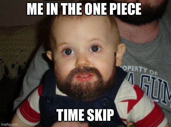 Time skip |  ME IN THE ONE PIECE; TIME SKIP | image tagged in memes,beard baby | made w/ Imgflip meme maker