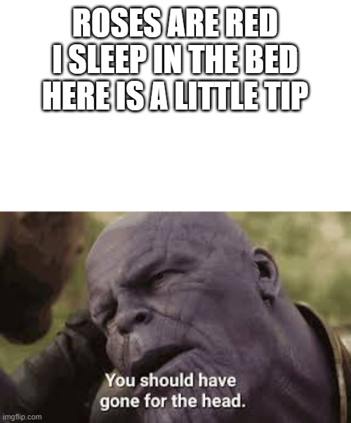 Thanos are red | ROSES ARE RED
I SLEEP IN THE BED
HERE IS A LITTLE TIP | image tagged in roses are red,thanos,memes | made w/ Imgflip meme maker