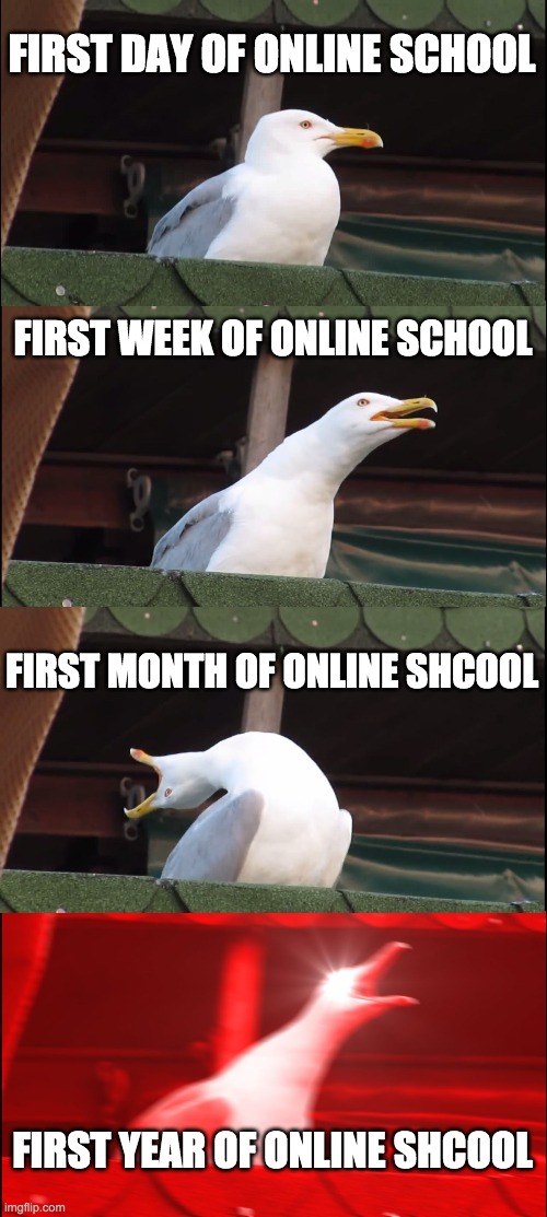 online school problem | FIRST DAY OF ONLINE SCHOOL; FIRST WEEK OF ONLINE SCHOOL; FIRST MONTH OF ONLINE SHCOOL; FIRST YEAR OF ONLINE SHCOOL | image tagged in memes,inhaling seagull | made w/ Imgflip meme maker