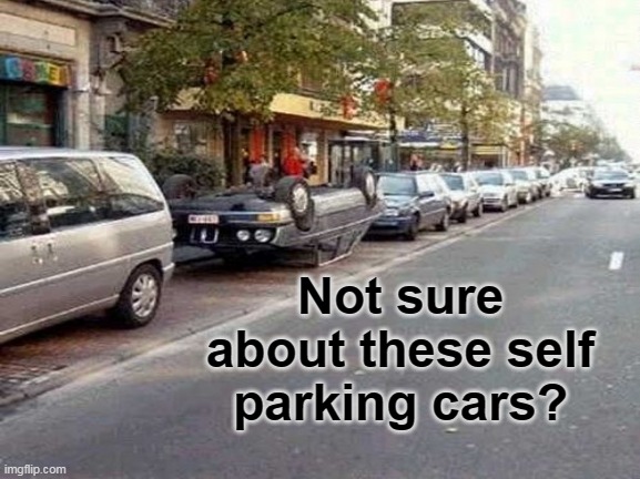 Parking your car! | Not sure about these self parking cars? | image tagged in parking | made w/ Imgflip meme maker