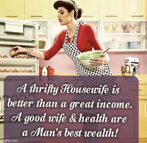 Wealth | image tagged in wealth,housewife,wife,health | made w/ Imgflip meme maker