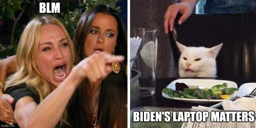 Smudge the cat | BLM; BIDEN'S LAPTOP MATTERS | image tagged in smudge the cat | made w/ Imgflip meme maker