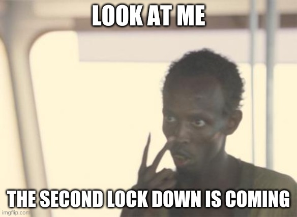 I'm The Captain Now Meme | LOOK AT ME; THE SECOND LOCK DOWN IS COMING | image tagged in memes,i'm the captain now | made w/ Imgflip meme maker