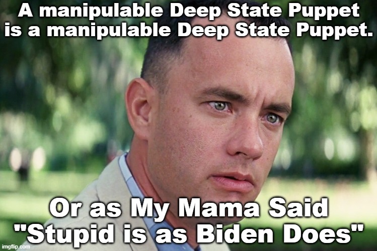 And Just Like That Meme | A manipulable Deep State Puppet is a manipulable Deep State Puppet. Or as My Mama Said "Stupid is as Biden Does" | image tagged in memes,and just like that | made w/ Imgflip meme maker