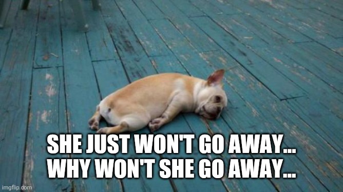 tired dog | SHE JUST WON'T GO AWAY... WHY WON'T SHE GO AWAY... | image tagged in tired dog | made w/ Imgflip meme maker