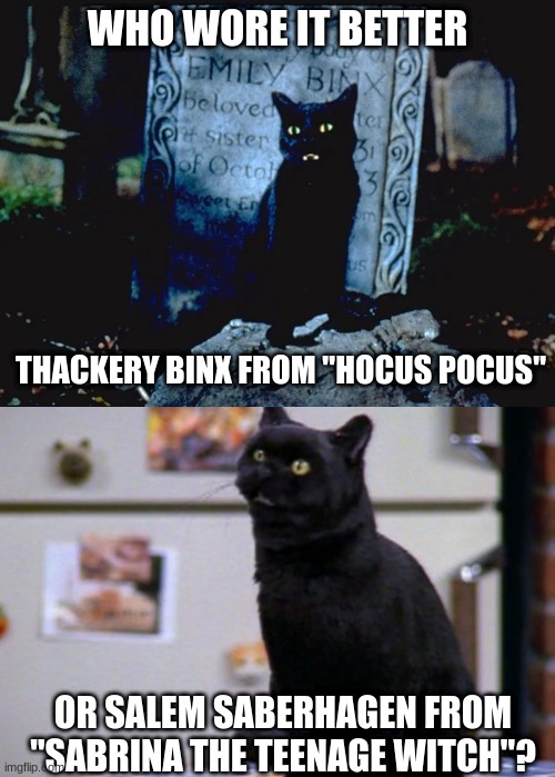 Who Wore It Better Wednesday #26 - Black cats | WHO WORE IT BETTER; THACKERY BINX FROM "HOCUS POCUS"; OR SALEM SABERHAGEN FROM "SABRINA THE TEENAGE WITCH"? | image tagged in memes,who wore it better,hocus pocus,sabrina the teenage witch,walt disney,abc | made w/ Imgflip meme maker