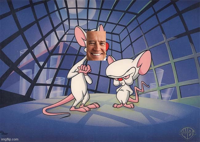 pinky and the brain | image tagged in pinky and the brain | made w/ Imgflip meme maker
