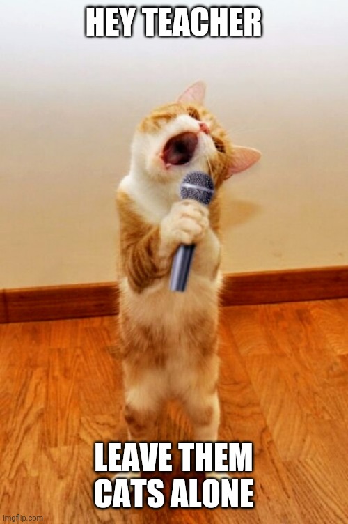 Singing cat | HEY TEACHER LEAVE THEM CATS ALONE | image tagged in singing cat,cats,memes | made w/ Imgflip meme maker