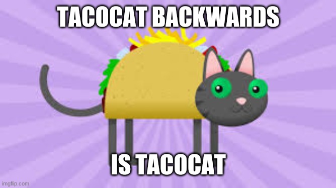 TACOCAT-TACOCAT | TACOCAT BACKWARDS; IS TACOCAT | image tagged in tacocat,memes,funny,funny memes,cats,tacos | made w/ Imgflip meme maker