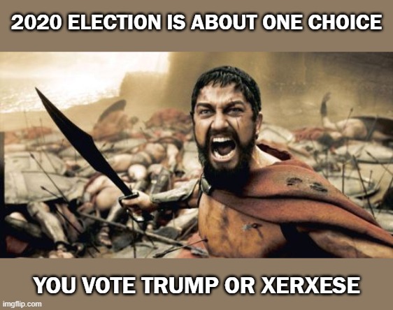 2020 Election | 2020 ELECTION IS ABOUT ONE CHOICE; YOU VOTE TRUMP OR XERXESE | image tagged in memes,sparta leonidas | made w/ Imgflip meme maker