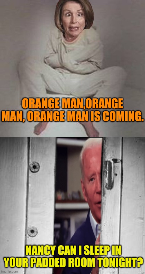 After November 3 The Asylums Will Be Overflowing | ORANGE MAN,ORANGE MAN, ORANGE MAN IS COMING. NANCY CAN I SLEEP IN YOUR PADDED ROOM TONIGHT? | image tagged in trump 2020,election 2020,donald trump,vote trump,drstrangmeme,conservatives | made w/ Imgflip meme maker