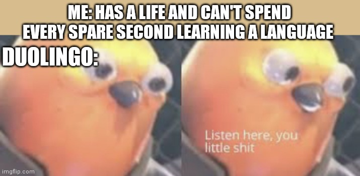 Duolingo be like | ME: HAS A LIFE AND CAN'T SPEND EVERY SPARE SECOND LEARNING A LANGUAGE; DUOLINGO: | image tagged in listen here you little shit bird,duolingo,language,learning | made w/ Imgflip meme maker