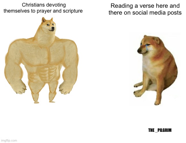 Fruitful Christianity | Christians devoting themselves to prayer and scripture; Reading a verse here and there on social media posts; THE _PILGRIM | image tagged in memes,buff doge vs cheems | made w/ Imgflip meme maker