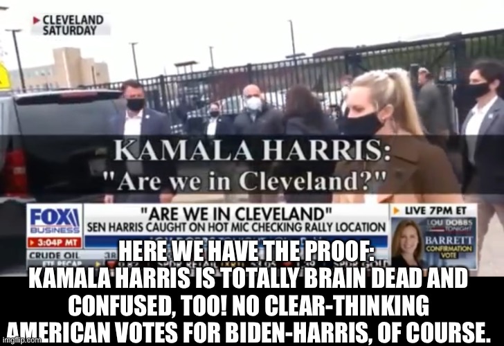 HERE WE HAVE THE PROOF: 
KAMALA HARRIS IS TOTALLY BRAIN DEAD AND CONFUSED, TOO! NO CLEAR-THINKING AMERICAN VOTES FOR BIDEN-HARRIS, OF COURSE | made w/ Imgflip meme maker