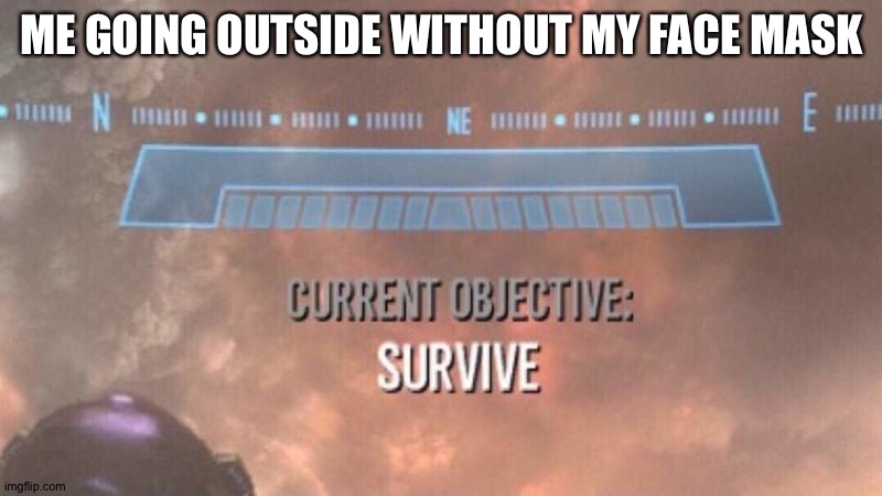 Current Objective: Survive | ME GOING OUTSIDE WITHOUT MY FACE MASK | image tagged in current objective survive | made w/ Imgflip meme maker