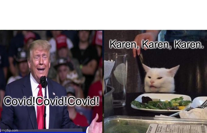 Trump | Karen, Karen, Karen. Covid!Covid!Covid! | image tagged in memes,woman yelling at cat | made w/ Imgflip meme maker