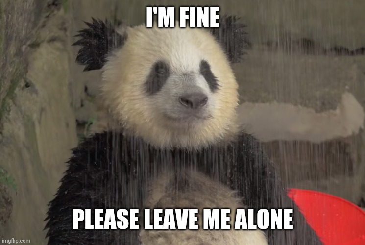 i am fine | I'M FINE; PLEASE LEAVE ME ALONE | image tagged in panda,leave me alone | made w/ Imgflip meme maker