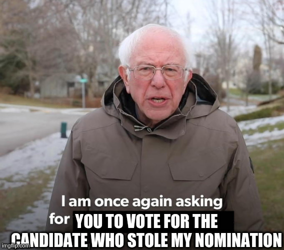 I am asking for | YOU TO VOTE FOR THE CANDIDATE WHO STOLE MY NOMINATION | image tagged in i am asking for | made w/ Imgflip meme maker