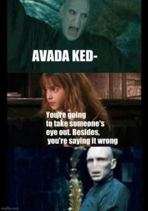 This is when you know that its REALLY bad... | image tagged in lord voldemort,hermione granger,harry potter,haha | made w/ Imgflip meme maker