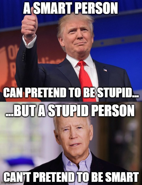 Underrated Trump, overrated Biden | A SMART PERSON; CAN PRETEND TO BE STUPID... ...BUT A STUPID PERSON; CAN'T PRETEND TO BE SMART | image tagged in donald trump,memes,joe biden,joe biden 2020 | made w/ Imgflip meme maker