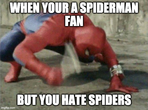Spiderman wrench | WHEN YOUR A SPIDERMAN
FAN; BUT YOU HATE SPIDERS | image tagged in spiderman wrench | made w/ Imgflip meme maker