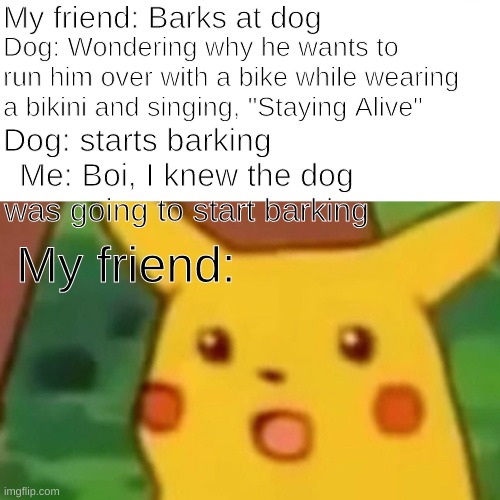 Surprised Pikachu Meme | My friend: Barks at dog; Dog: Wondering why he wants to run him over with a bike while wearing a bikini and singing, "Staying Alive"; Dog: starts barking; Me: Boi, I knew the dog was going to start barking; My friend: | image tagged in memes,surprised pikachu,stupid,stupid people,dog,dogs | made w/ Imgflip meme maker