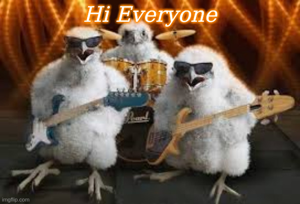 Hi Everyone | Hi Everyone | image tagged in chicken musicians,hi everyone,funny memes | made w/ Imgflip meme maker