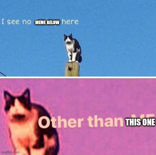 Hail pole cat | THIS ONE MEME BELOW | image tagged in hail pole cat | made w/ Imgflip meme maker
