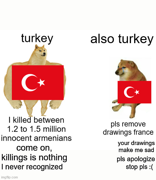 remove drawings france :( | turkey; also turkey; I killed between 1.2 to 1.5 million innocent armenians; pls remove drawings france; your drawings make me sad; come on, killings is nothing; pls apologize; I never recognized; stop pls :( | image tagged in memes,buff doge vs cheems | made w/ Imgflip meme maker