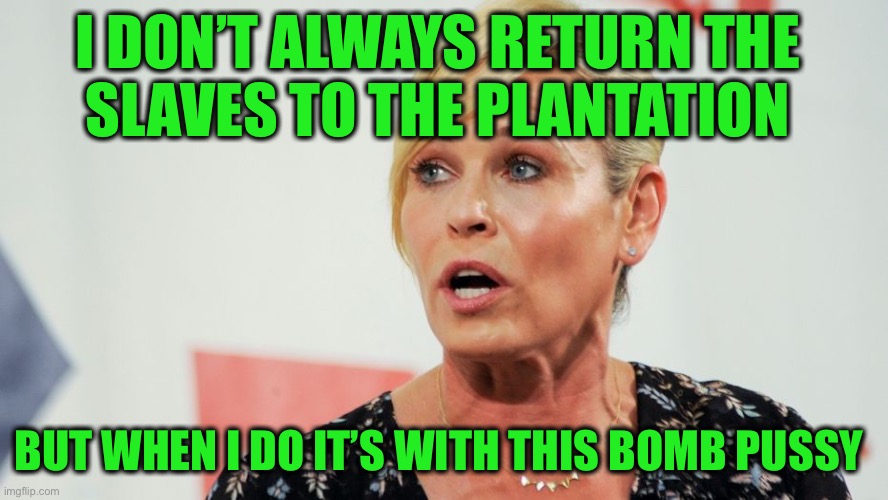 Stupid People Chelsea Handler | I DON’T ALWAYS RETURN THE 
SLAVES TO THE PLANTATION BUT WHEN I DO IT’S WITH THIS BOMB PUSSY | image tagged in stupid people chelsea handler | made w/ Imgflip meme maker