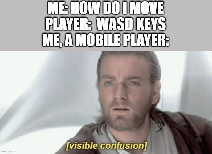 visible confussling | ME: HOW DO I MOVE
PLAYER:  WASD KEYS
ME, A MOBILE PLAYER: | image tagged in visible confusion | made w/ Imgflip meme maker