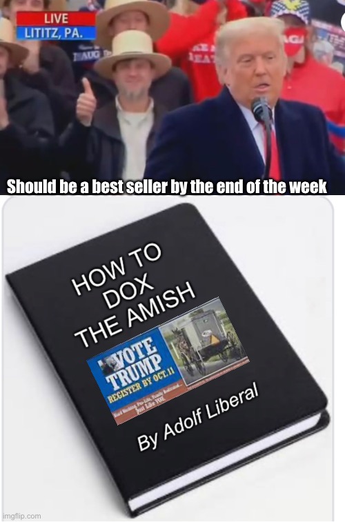 Best seller list | Should be a best seller by the end of the week | image tagged in election 2020,trump,liberal logic,amish | made w/ Imgflip meme maker