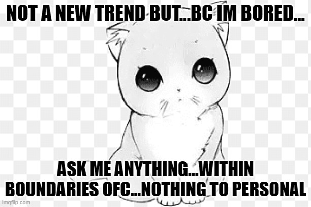 idk.... | NOT A NEW TREND BUT...BC IM BORED... ASK ME ANYTHING...WITHIN BOUNDARIES OFC...NOTHING TO PERSONAL | image tagged in kawaii cat 2,question,answer,boredom | made w/ Imgflip meme maker