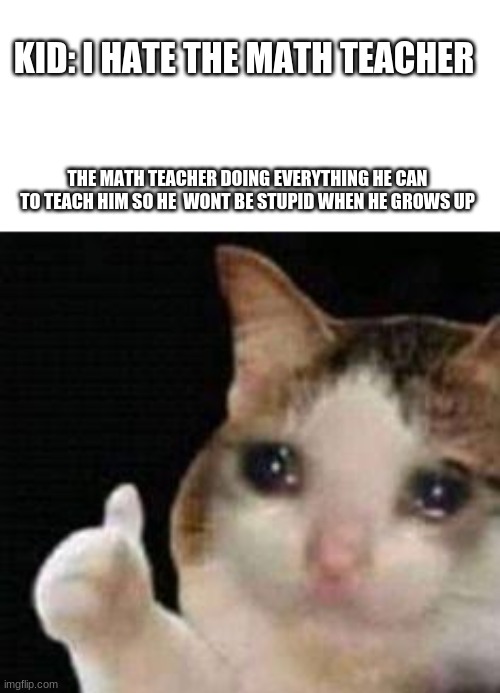 Approved crying cat - Imgflip