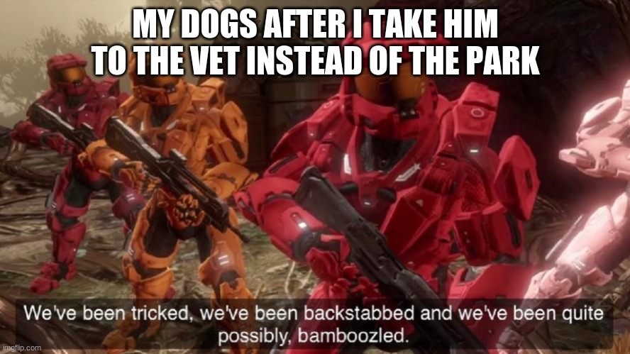 Quite possibly, vaccinated | MY DOGS AFTER I TAKE HIM TO THE VET INSTEAD OF THE PARK | image tagged in we've been tricked | made w/ Imgflip meme maker
