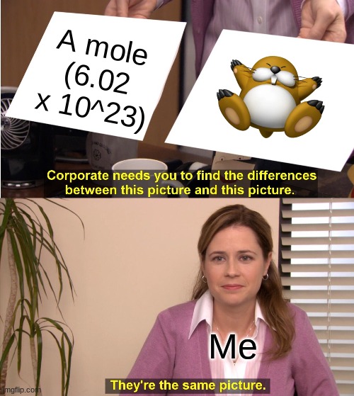 They're The Same Picture Meme | A mole (6.02 x 10^23); Me | image tagged in memes,they're the same picture | made w/ Imgflip meme maker