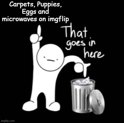 Let's make imgflip clean! :D | Carpets, Puppies, Eggs and microwaves on imgflip | image tagged in that goes in here,memes,carpet | made w/ Imgflip meme maker