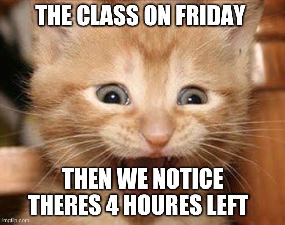 Excited Cat | THE CLASS ON FRIDAY; THEN WE NOTICE THERE'S 4 HOURS LEFT | image tagged in memes,excited cat | made w/ Imgflip meme maker