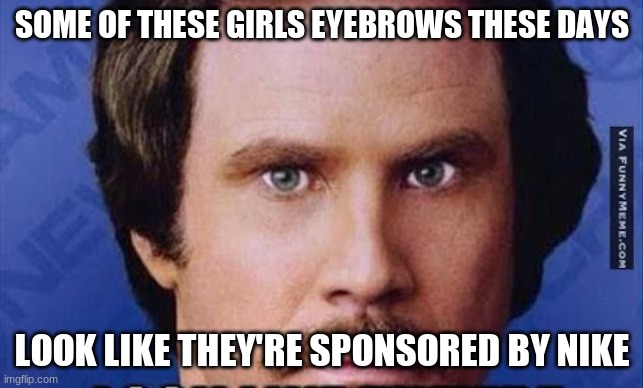 Lol | SOME OF THESE GIRLS EYEBROWS THESE DAYS; LOOK LIKE THEY'RE SPONSORED BY NIKE | image tagged in memes,funny memes,funny | made w/ Imgflip meme maker