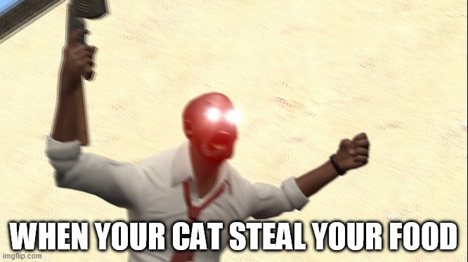 LOUIS rage | WHEN YOUR CAT STEAL YOUR FOOD | image tagged in louis | made w/ Imgflip meme maker