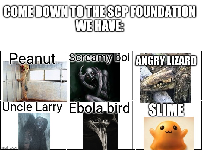 COME DOWN TO THE SCP FOUNDATION
WE HAVE:; ANGRY LIZARD; Peanut; Screamy boi; Uncle Larry; Ebola bird; SLIME | image tagged in blank white template,memes,blank comic panel 2x2,scp,scp meme,scp 173 | made w/ Imgflip meme maker