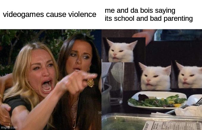 Woman Yelling At Cat | videogames cause violence; me and da bois saying its school and bad parenting | image tagged in memes,woman yelling at cat | made w/ Imgflip meme maker