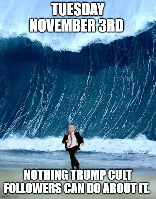 Lose the Presidency and the Senate, more gains in the House | TUESDAY NOVEMBER 3RD; NOTHING TRUMP CULT FOLLOWERS CAN DO ABOUT IT. | image tagged in donald trump,trump supporters,republicans,election 2020 | made w/ Imgflip meme maker