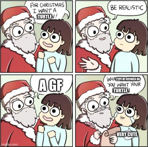 For Christmas I Want a Dragon | TURTLE A GF TURTLE TYPE OF CUTNESS DO VERY CUTE | image tagged in for christmas i want a dragon | made w/ Imgflip meme maker