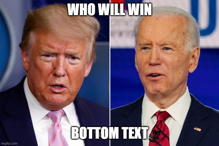 You choose | WHO WILL WIN; BOTTOM TEXT | image tagged in donald trump and joe biden | made w/ Imgflip meme maker