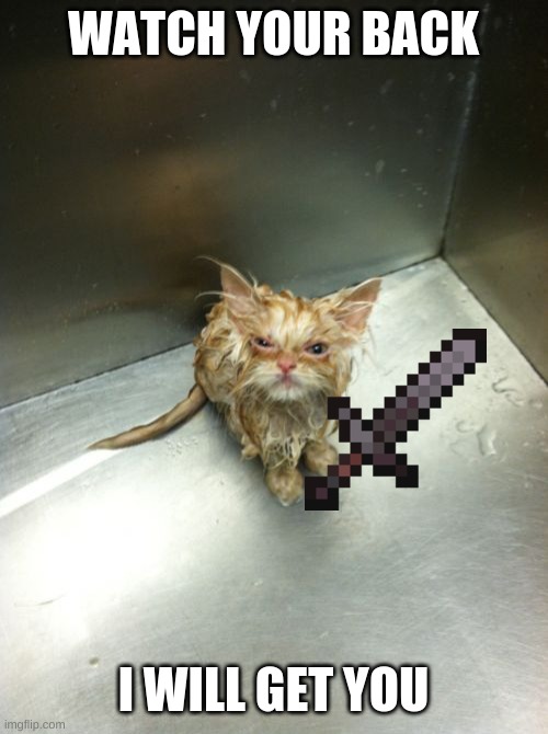 Kill You Cat | WATCH YOUR BACK; I WILL GET YOU | image tagged in memes,kill you cat | made w/ Imgflip meme maker