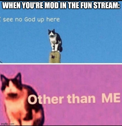 true | WHEN YOU'RE MOD IN THE FUN STREAM: | image tagged in i see no god up here other than me | made w/ Imgflip meme maker