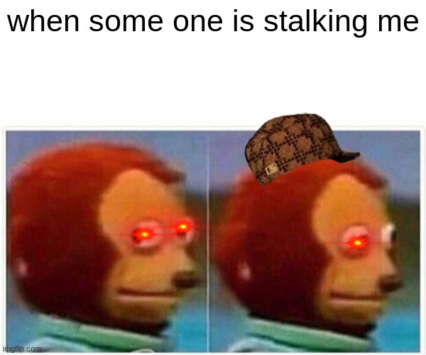 when a stalker gets wacht | when some one is stalking me | image tagged in memes,monkey puppet | made w/ Imgflip meme maker