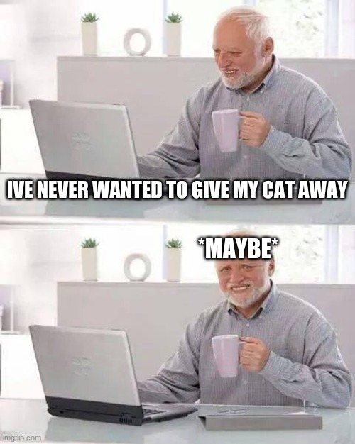 Hide the Pain Harold Meme | IVE NEVER WANTED TO GIVE MY CAT AWAY; *MAYBE* | image tagged in memes,hide the pain harold,cats | made w/ Imgflip meme maker